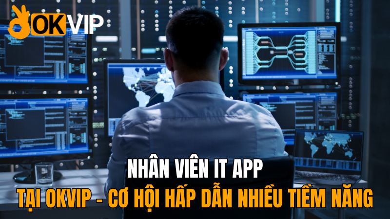 nhan-vien-it-app-nhieu-tiem-nang-nhat-hien-nay-tai-okvip